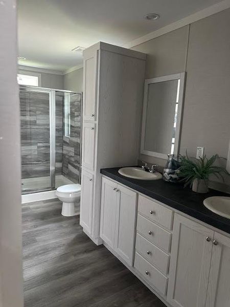 Bathroom with vanity, toilet, wood-type flooring, and a shower with shower door