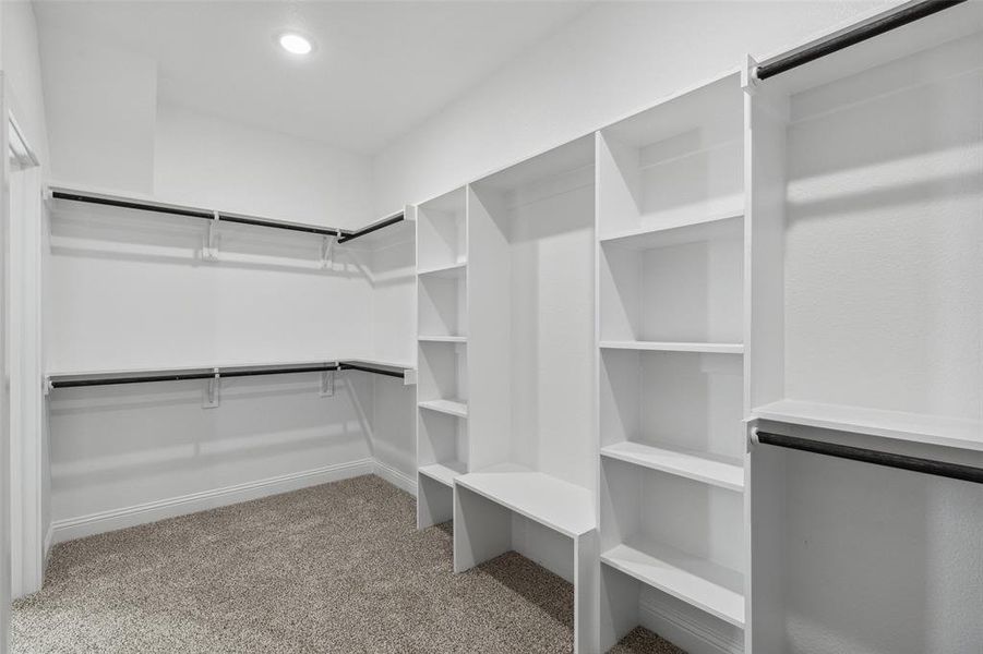 Spacious closet featuring light carpet