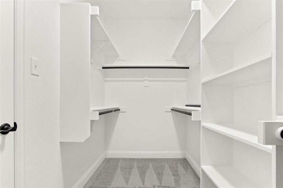 Spacious closet with light carpet