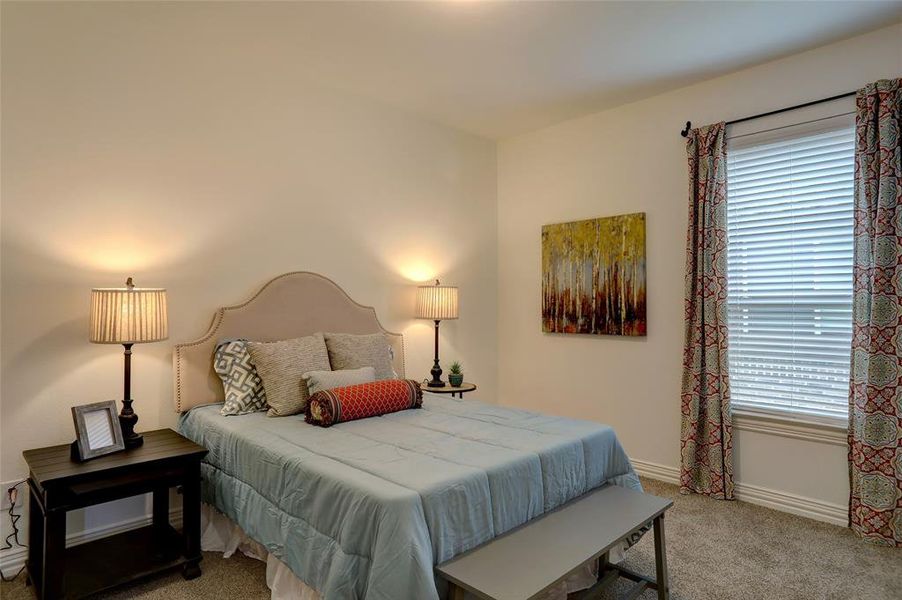 Bedroom featuring carpet floors and multiple windows