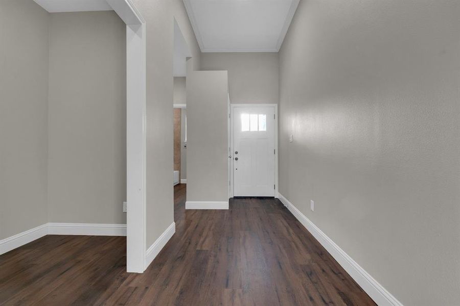 Entryway with dark hardwood / wood-style floors