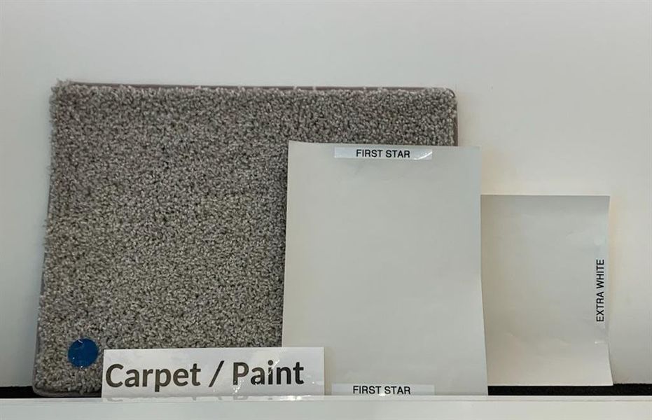 Carpet and paint Colors