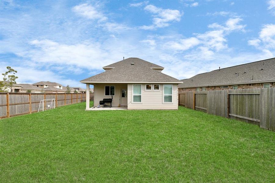 Backyard/Patio