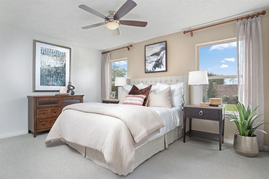 What a wonderful place to come home to, this stunning primary suite greets you with plush carpeting, warm custom paint, high ceiling, ceiling fan with lighting, large windows with window coverings brightening up this spacious primary bedroom!