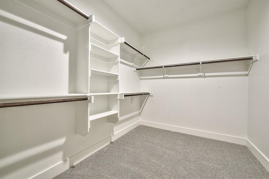 Spacious closet featuring carpet flooring