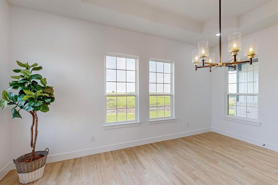 Empty room with light hardwood / wood-style floors, a raised ceiling, and an inviting chandelier