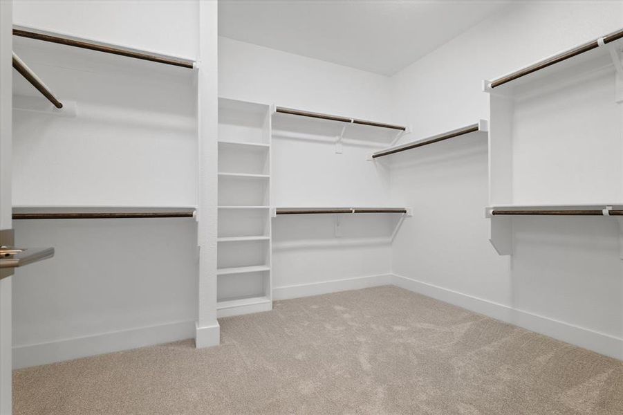 Spacious closet featuring light colored carpet