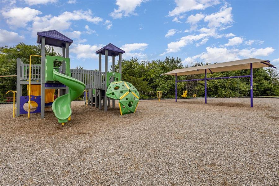 View of jungle gym