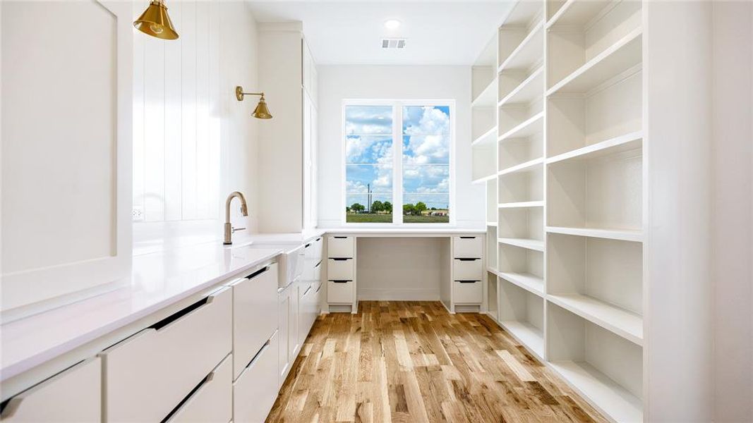 Spacious closet with sink and light hardwood / wood-style flooring