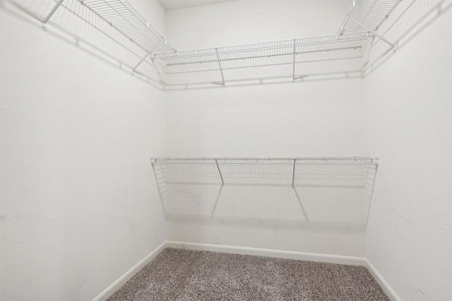 Spacious closet featuring carpet flooring