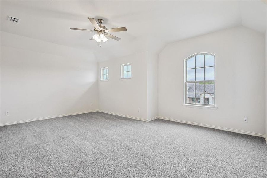 Carpeted empty room featuring lofted ceiling, ceiling fan, and a healthy amount of sunlight