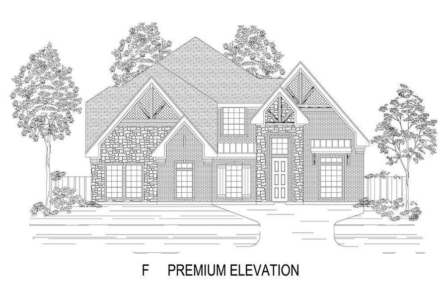 New construction Single-Family house 9941 Casa Frontera Drive, Fort Worth, TX 76179 Birchwood 2FSW (w/Media)- photo