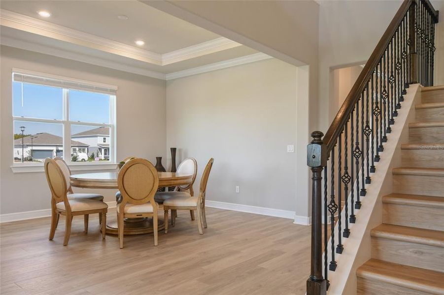 Tray Ceiling, Crown Molding, and Recessed Lighting