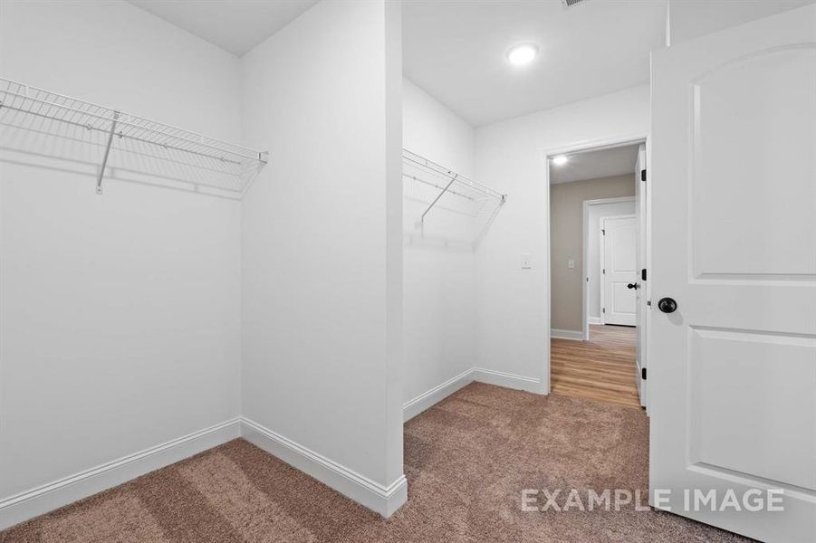 Spacious closet featuring carpet floors