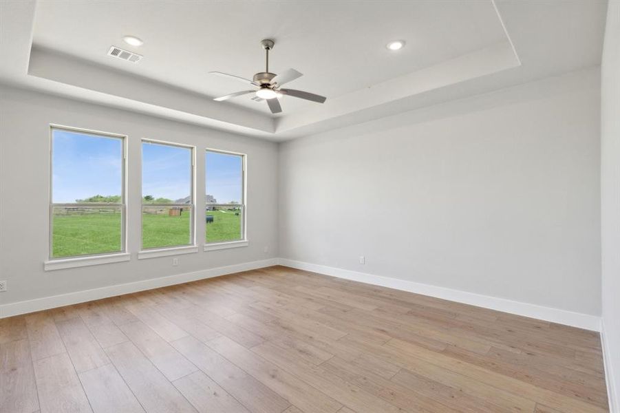 Spare room featuring a healthy amount of sunlight, ceiling fan, light wood-type flooring, and a tray ceiling