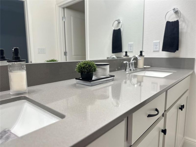 master bathroom double sink