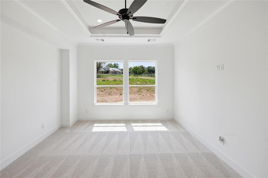 Spare room with a tray ceiling, ceiling fan, and light carpet