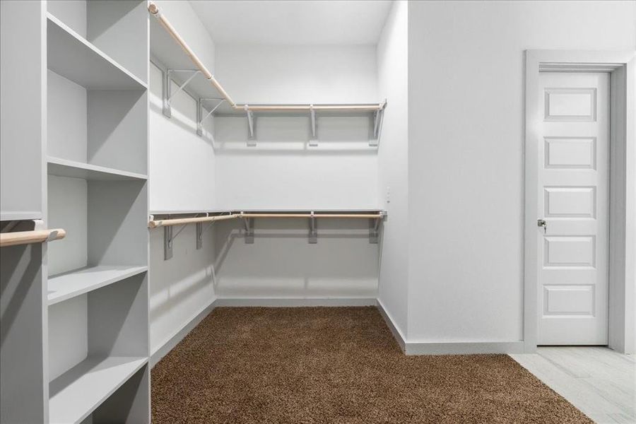 Spacious closet featuring carpet floors