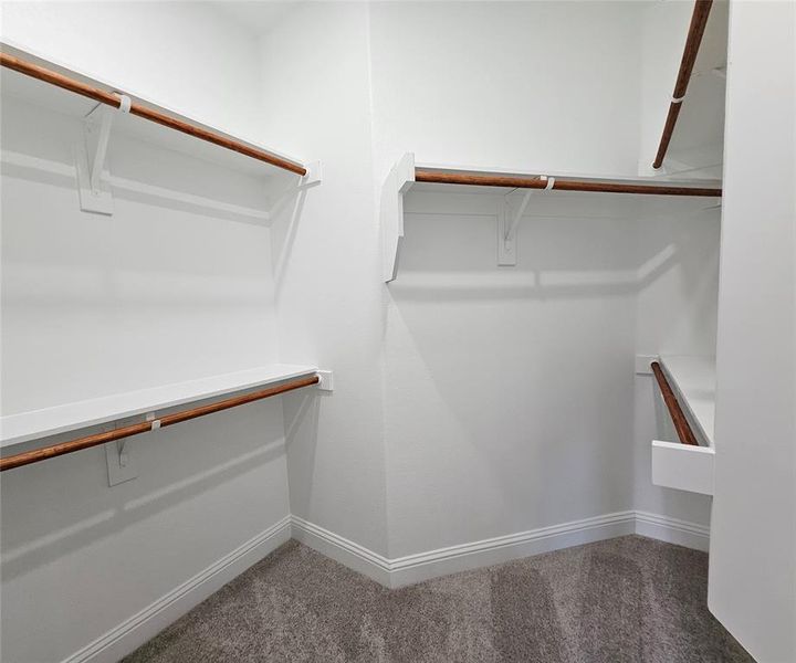 Spacious closet with carpet flooring