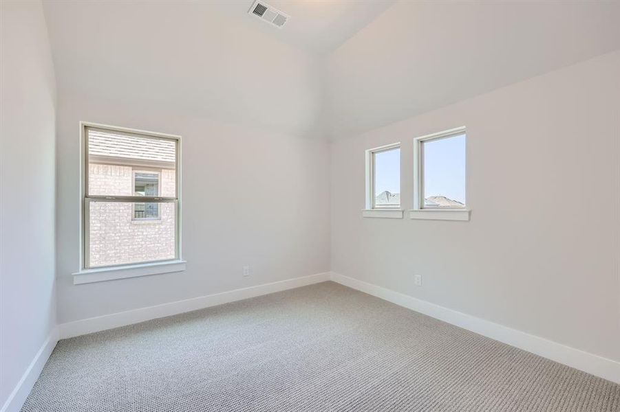 Unfurnished room with carpet floors, lofted ceiling, and a wealth of natural light