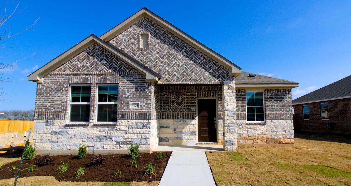 New construction Single-Family house Isaac, 203 Pinkerton Drive, Hutto, TX 78634 - photo