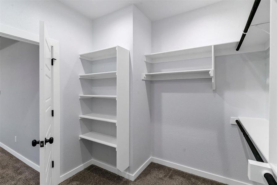 Spacious closet with dark colored carpet