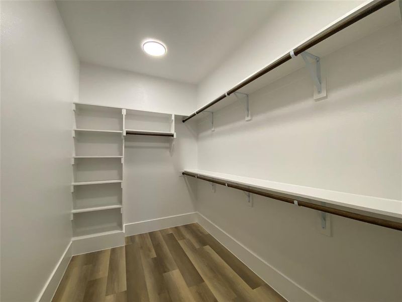 Spacious closet with wood-type flooring