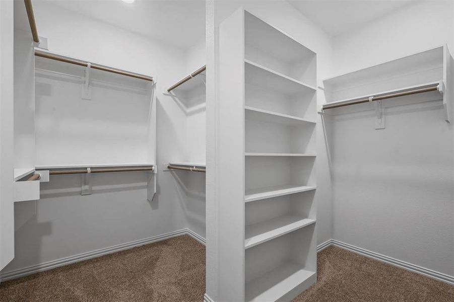 Spacious closet featuring carpet