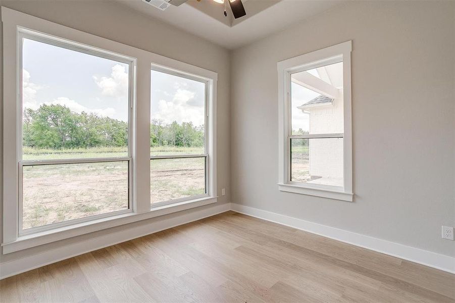 Unfurnished room with ceiling fan, light hardwood / wood-style floors, and a wealth of natural light