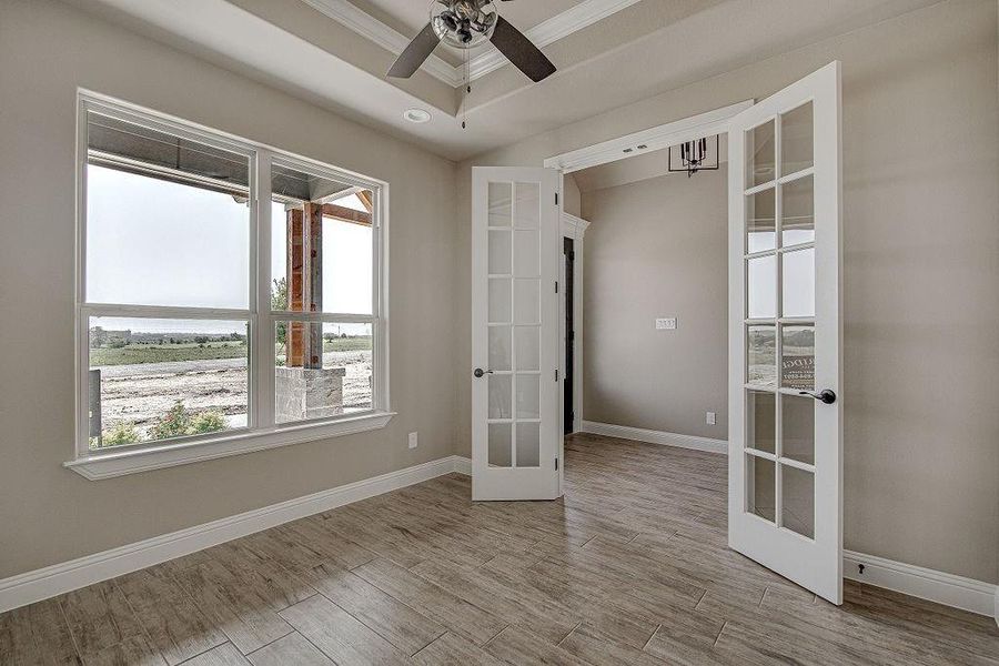 Unfurnished room featuring french doors, a tray ceiling, and hardwood / wood-style floors