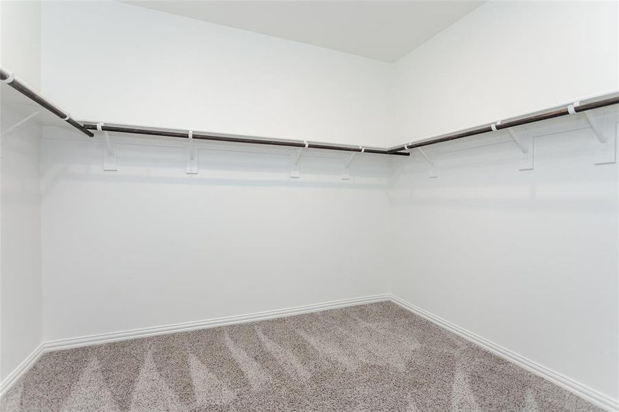 Spacious primary closet featuring carpet flooring