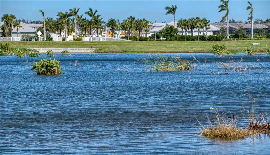 Lakeview from your lanai.