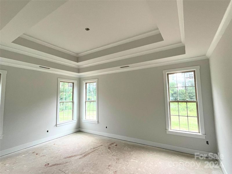 Primary bedroom features double tray ceiling