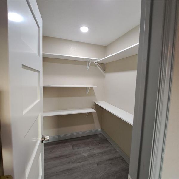 Spacious closet featuring dark hardwood / wood-style flooring