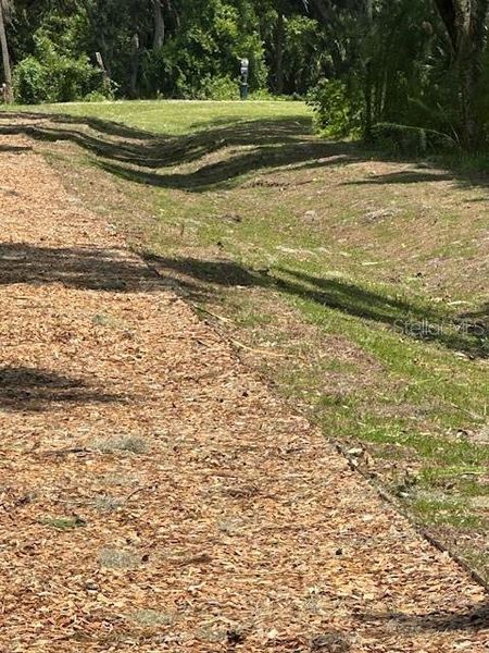 one of the beautiful community walking trails by Lake Harris