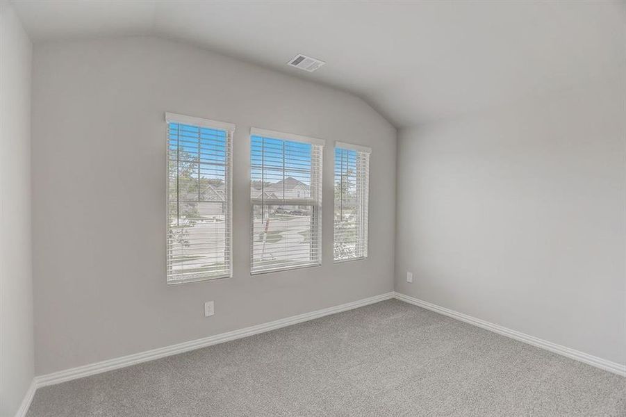 Unfurnished room with carpet and lofted ceiling