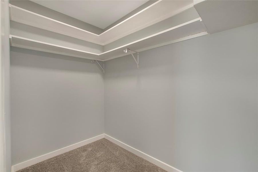 Spacious closet featuring carpet floors