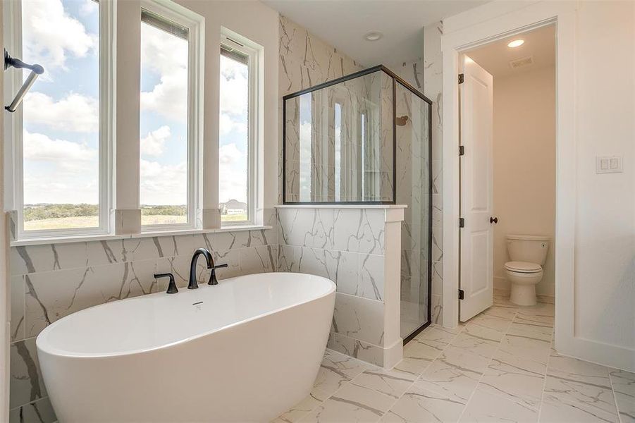 Bathroom with tile walls, separate shower and tub, and toilet