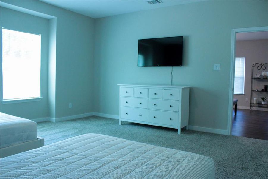 Carpeted bedroom featuring multiple windows