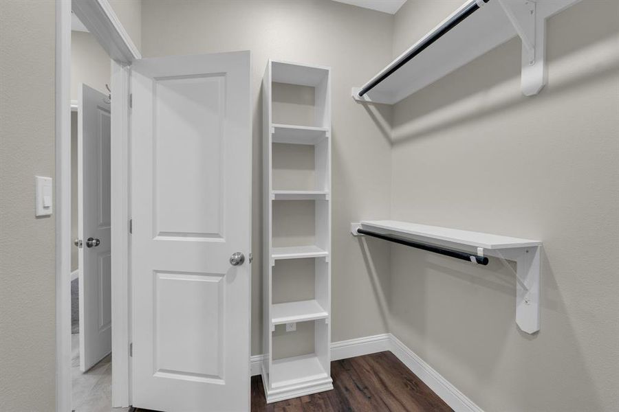 Spacious closet featuring dark hardwood / wood-style flooring