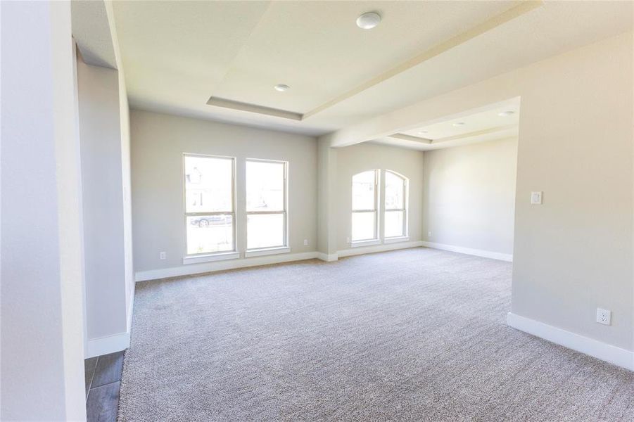 Empty room with carpet and a raised ceiling