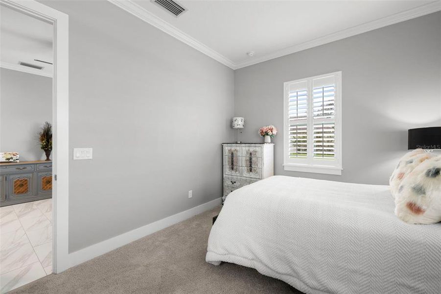 In-Law Quarters With Plantation Shutters & Crown Molding