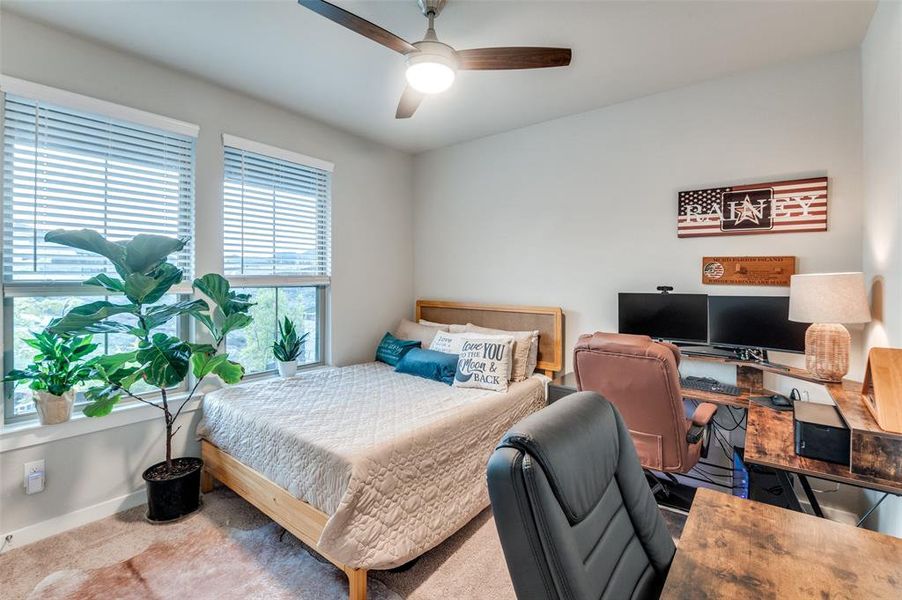 Carpeted bedroom with multiple windows and ceiling fan