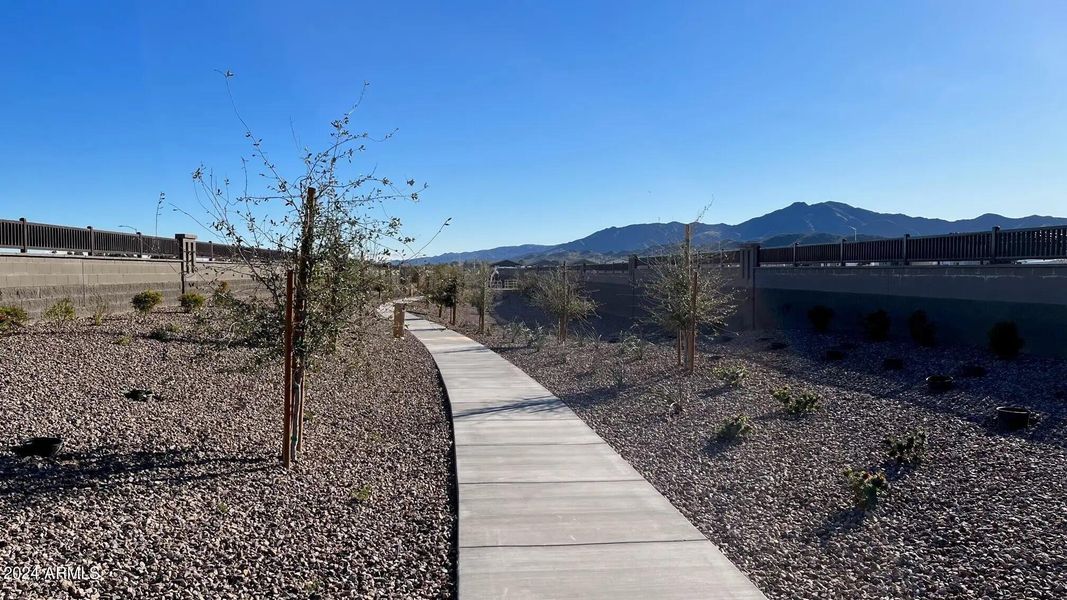 Estrella Crossing walking trail