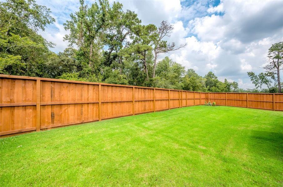 Spacious backyard for entertaining.