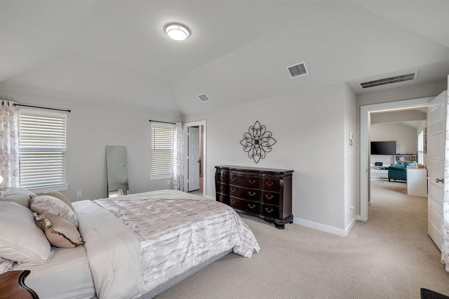 Bedroom with multiple windows, light carpet, and lofted ceiling