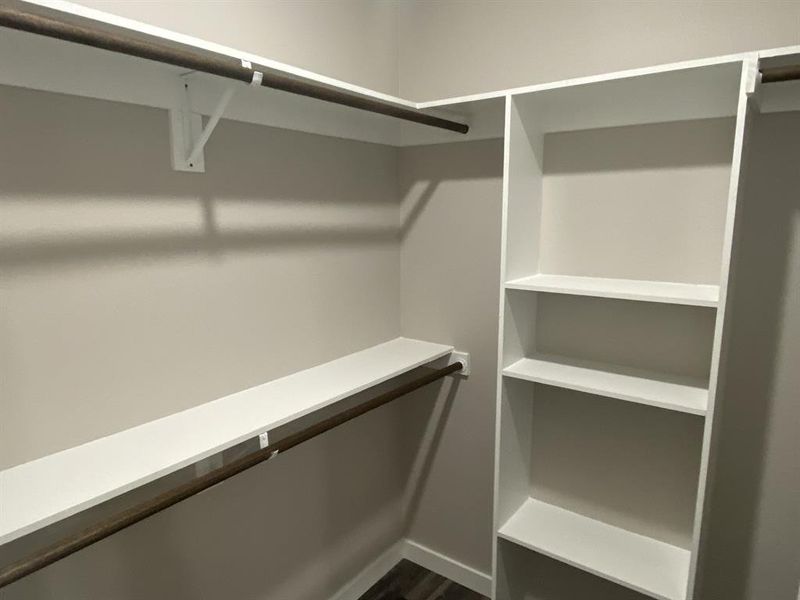 Spacious closet featuring dark hardwood / wood-style floors