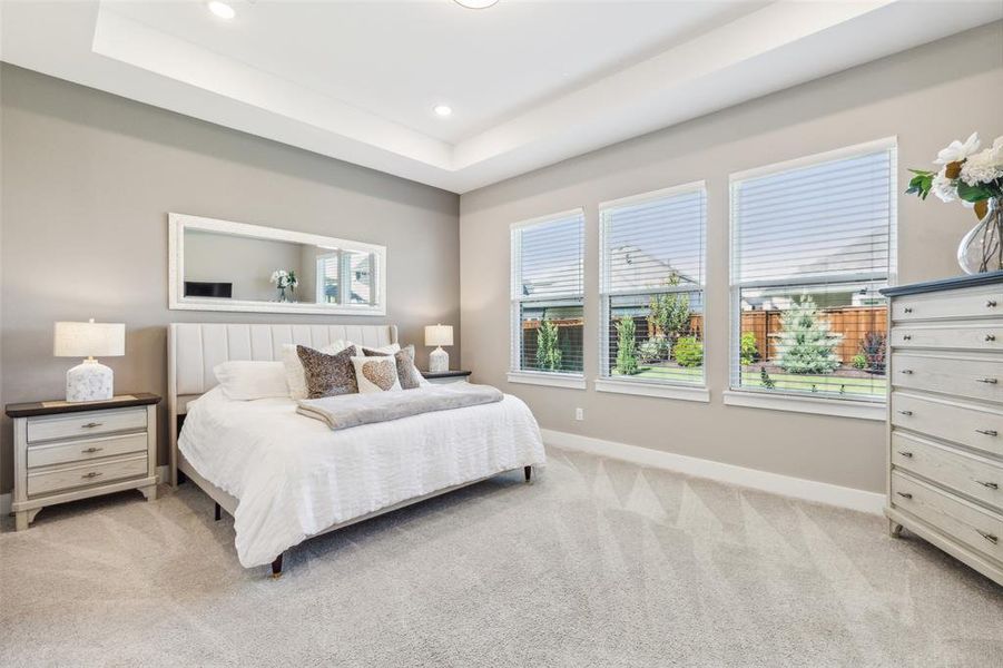 Carpeted bedroom with a tray ceiling