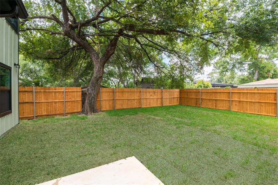 View of back yard from porch