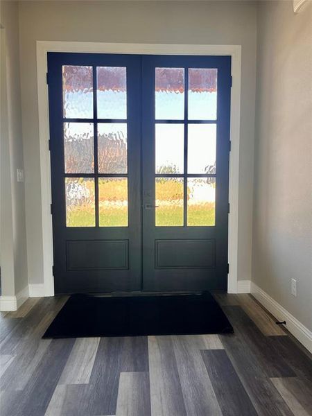 Doorway to outside with dark hardwood / wood-style floors